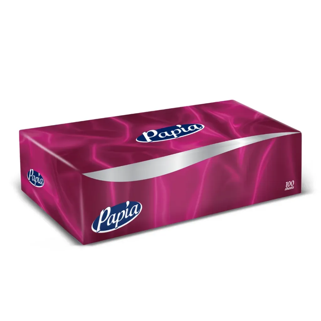 Papia Papiertücher Box 100X24
